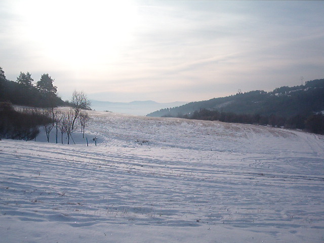 IM002771.JPG