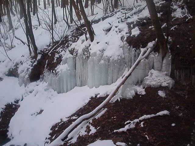 IM002772.JPG