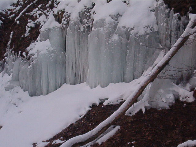 IM002773.JPG