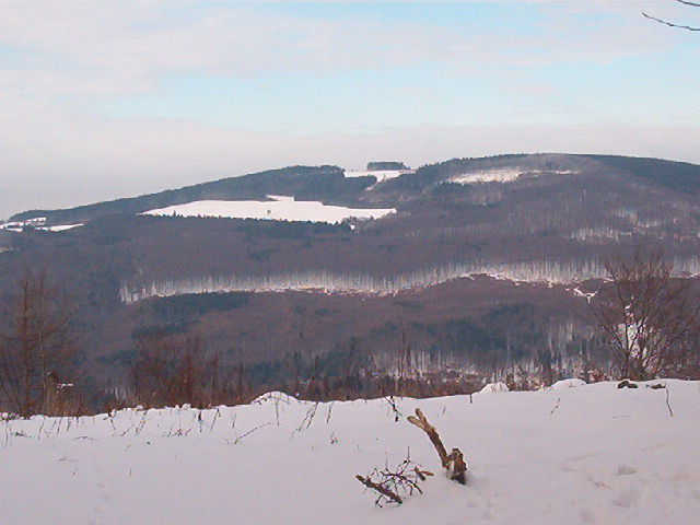 IM002778.JPG