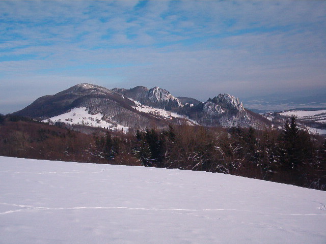 IM002780.JPG