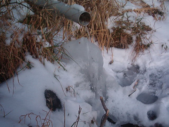IM002757.JPG