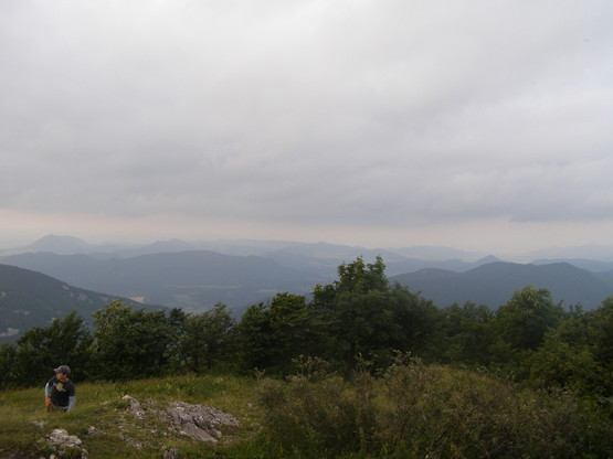 mf_190513105_902ea9f30b4b3f3f339a2eced1f0d2c9.jpg